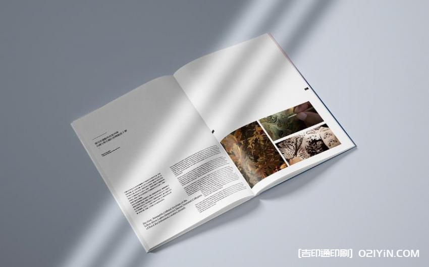定制畫冊印刷 - 設計印刷  第2張